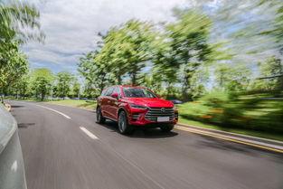 爆料比亚迪新闻最新消息,新能源汽车市场再掀风云