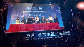 年会爆料视频大全集最新,精彩瞬间回顾，年度盛宴亮点大揭秘