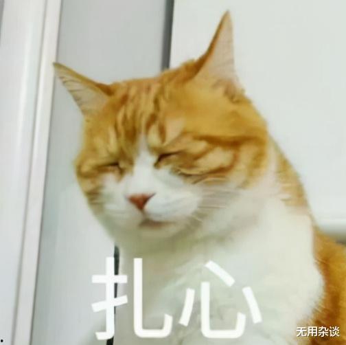 爆料主播大哥视频大全最新,视频大全中的精彩瞬间与幕后故事