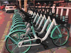 长春青桔单车最新爆料,揭秘新功能与市场布局