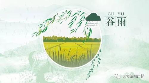 谷雨新闻爆料最新消息,最新消息震撼来袭！