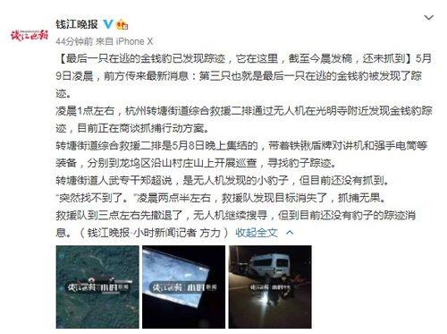 如何找到最新爆料新闻,追踪热点新闻的独家路径